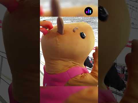 Entrevista exclusiva de Radio Rafaela con Capi, la mascota oficial de los Juegos Suramericanos