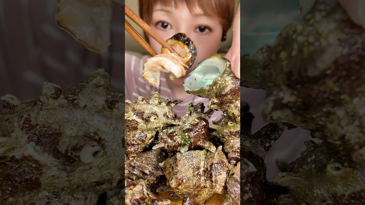 【深夜飯テロ/爆食い】コリコリすぎるサザエ刺身とビール🍺【咀嚼音/ASMR】