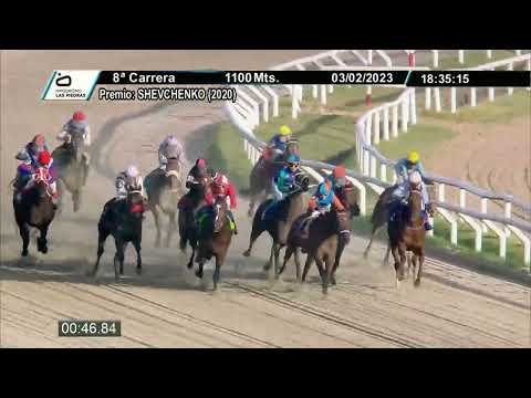230203 c08 - INTER WATCH - HIPODROMO LAS PIEDRAS