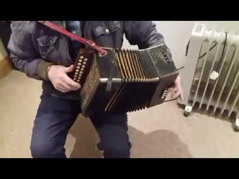 Honor Accordion