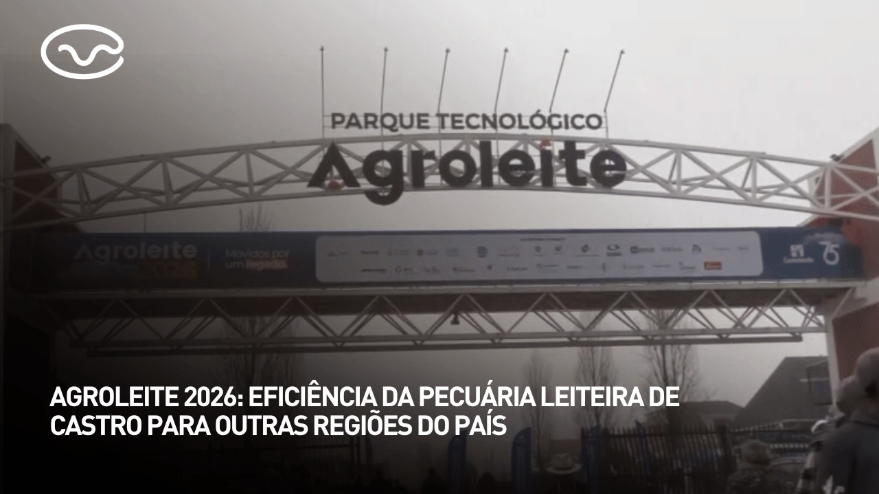 Agroleite 2026: eficiência da pecuária leiteira de Castro para outra regiões do país