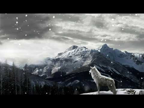 download lagu mp3 mp4 I Am Sold Lyrics, download lagu I Am Sold Lyrics gratis, unduh video klip I Am Sold Lyrics