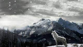 James Blake - I Am Sold + Lyrics