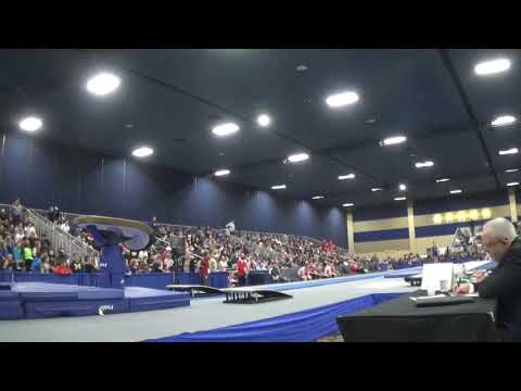 Colin Van Wicklen - Vault - 2020 Winter Cup Finals