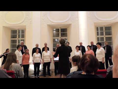 Mešani pevski zbor Ljubno na Gorenjskem