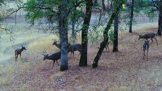 That's a lot of Bucks #bucks