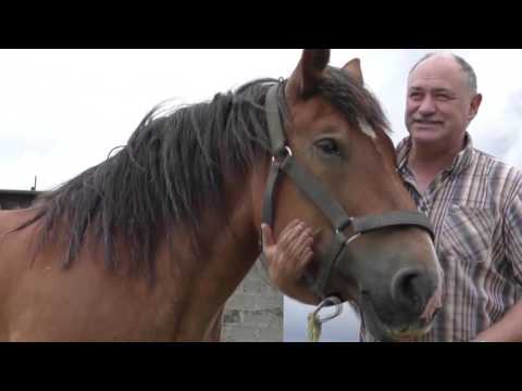 Foire de Libramont et Pomme, égérie 2017