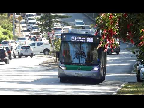 Transperth Volvo B8RLEA (Volgren Optimus) TP3094 Departs Karakatta Station