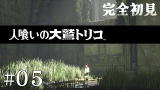 【初見プレイ】目が覚めたら大きなワシがいた Part.5【人喰いの大鷲トリコ/ネタバレ注意】