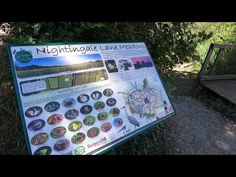 GC - London Road Footway - Nightingale Meadows - Batchelors Farm Meadows