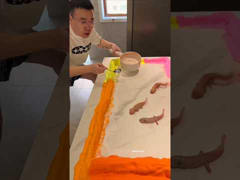 His Wife Put an Axolotl on the Decorated Table… You Won’t Believe What Happened Next!