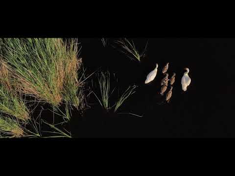 Bistret Lake - Mavic 2 PRO