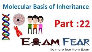 Biology Molecular Basis of Inheritance part 22 (Transcription) class 12 XII