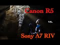 Duell Der Giganten I Canon EOS R5 Vs Sony A7 R IV