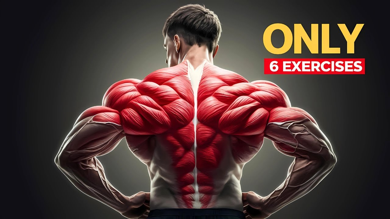 Do These 6 Exercises To Get a Wider Back