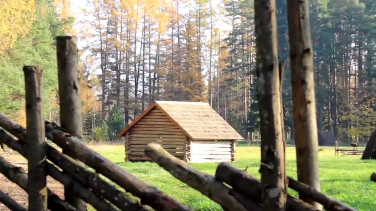702 Closer image of the cabin log within the fence
