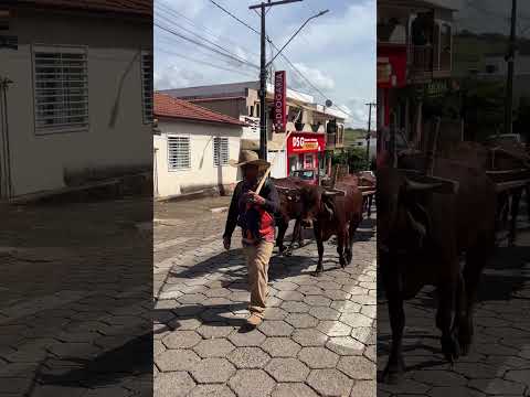 Festa de Carreiros em Bom Jesus da Penha MG #bomjesusdapenha #minasgerais #fyp