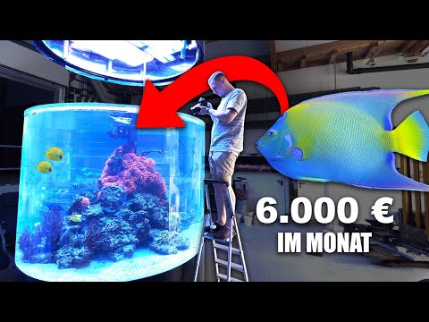 30.000 Liter - Deutschlands größte KORALLENZUCHT... Mach das NICHT so in deinem Aquarium!!!