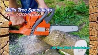 Tree Cutting Video...