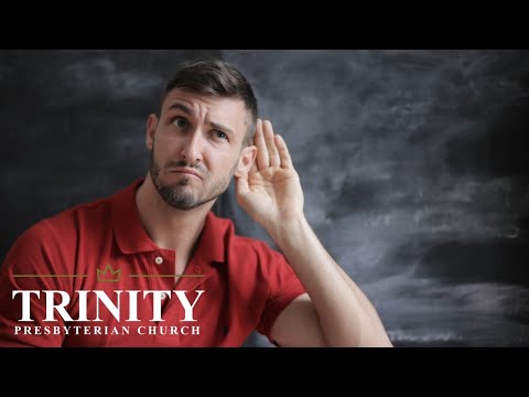 To Whom Do You Listen? | 2 Samuel 16:15 - 17:29