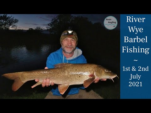 Barbel Fishing - River Wye Summer Adventure - 1/7/21 (Video 252)