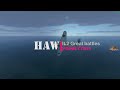 HAW IL2 Storming And Enemy Convoy #il2 #video