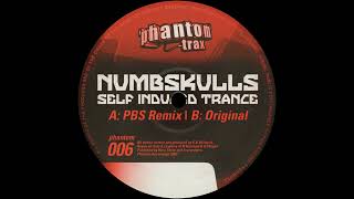 The Numbskulls - Self Induced Trance (Original Mix) 2003