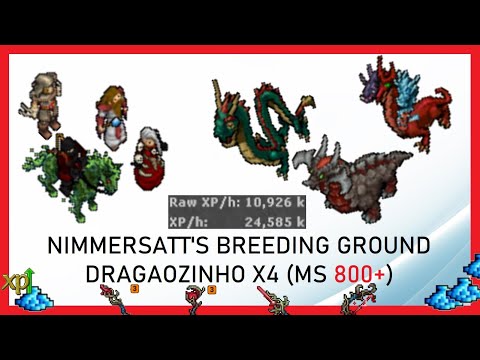 Tibia Hunt - Dragãozinho x4 (MS 800+)