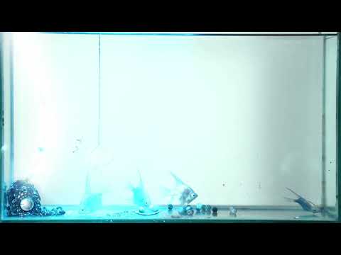 gyuris & grasa - hiway