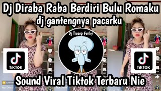 Download lagu DJ DIRABA RABA BERDIRI BULU ROMAKU-DJ GANTENGNYA PACARKU SOUND VIRAL TIKTOK YANG KALIAN CARI NIE mp3