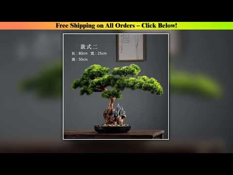 Simulation Welcome Pine Bonsai Ornaments Living Room Green Planting Desk Landscape Tree Four