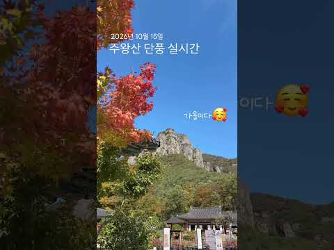 주왕산은 이제 완연한 가을입니다