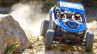 Losi RZR Rey 1:10 4WD RTR Fox