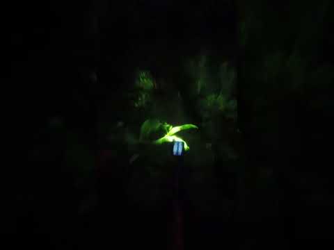 260119 tafi viejo con Ale alargue y otras al viaducto