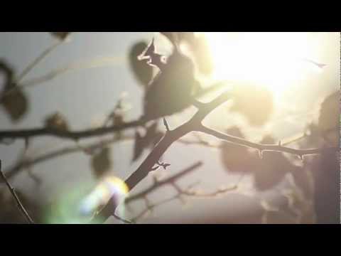 Chuck D. Feat. Ambersunshower - War (HD)