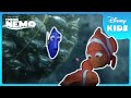 ️ Fish In A Net Will They Break Free Finding Nemo Disney Kids