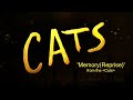 Cats 'Memory(Reprise)'  - Male Cover