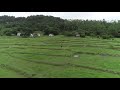 HDA Archaeologist Bob Sheppard Metal Detecting At Son Hao In Vietnam 1