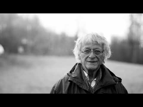 Roland Moser: Première étude pour les disparitions (2013)