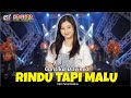 Cantika Davinca Rindu Tapi Malu Dangdut Official Music Video