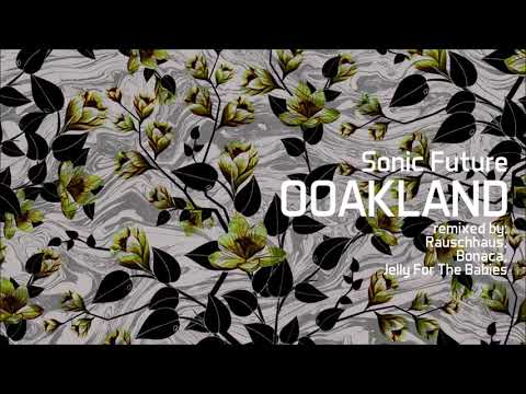 Sonic Future - Ooakland (Bonaca Dub Thing Remix)