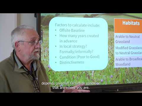 What is Biodiversity Net Gain (BNG)? A Simple Guide