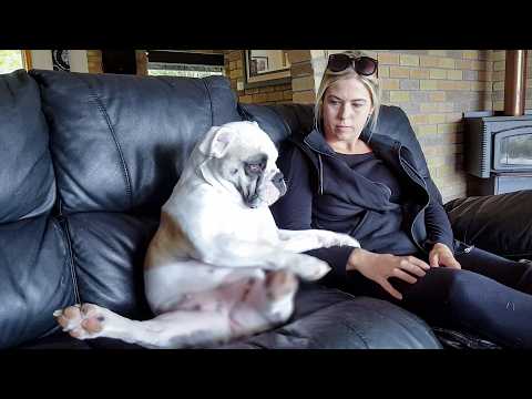 Best Feel-Good Moments to Brighten Your Day