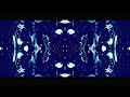 THE BERING Decay Official Music Video