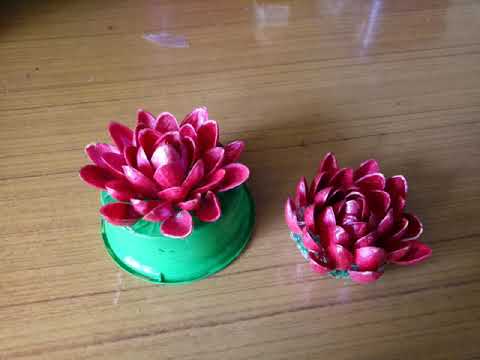 Craft, Lotus flowers with pista shells
