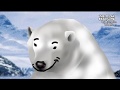 The Polar Bear Song