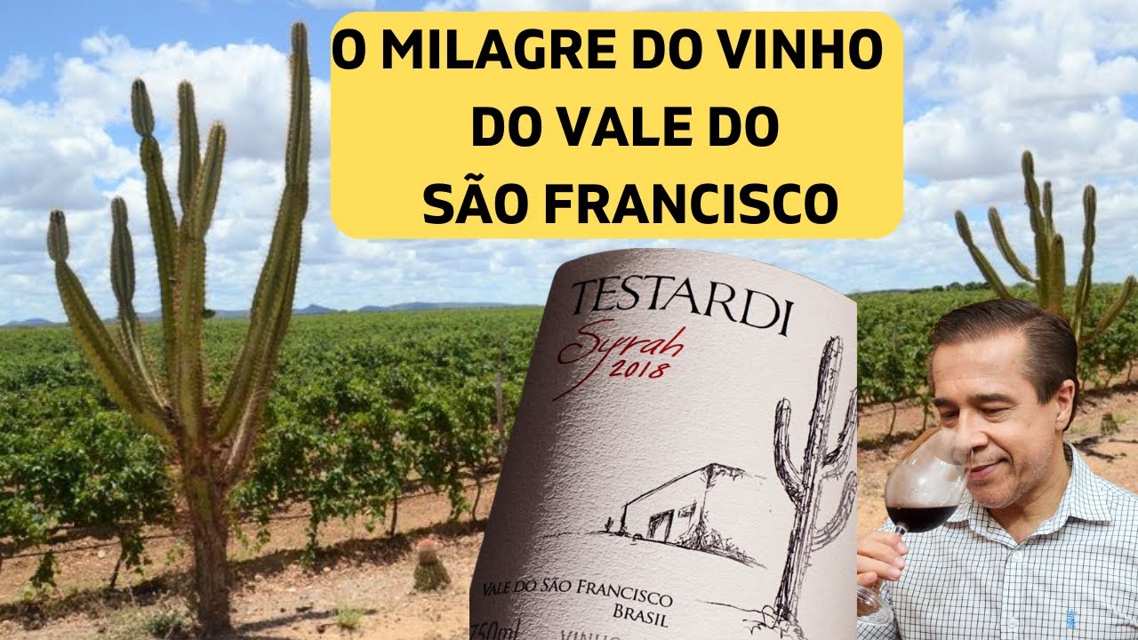 O MILAGRE DO SÃO FRANCISCO E SEUS VINHOS DELICIOSOS.