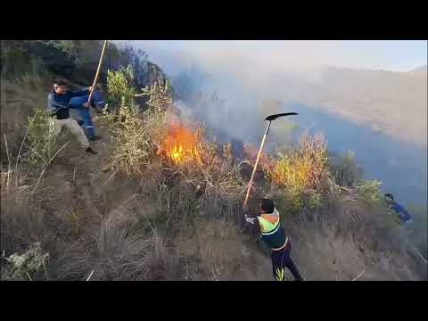 TOTORA SE DECLARA EN EMERGENCIA POR INCENDIO QUE AVANZA HACÍA CASAS .