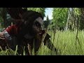 Skyrim Episode 1 Mod Porn