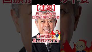国旗損壊罪は必要か！？自民党内で真っ向対立する表現の自由と愛国心！